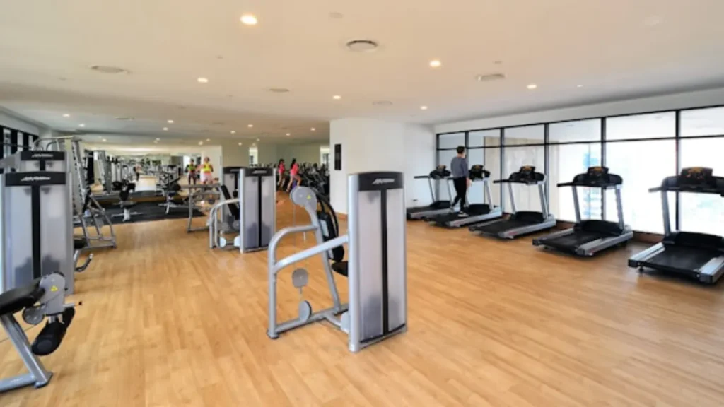 Gym or Fitness Center Website Development Agency
