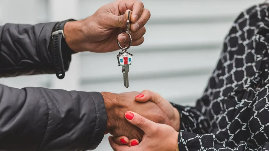 Real Estate Website Developer